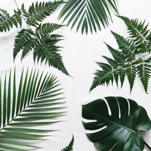 Meet your Posher, Esty